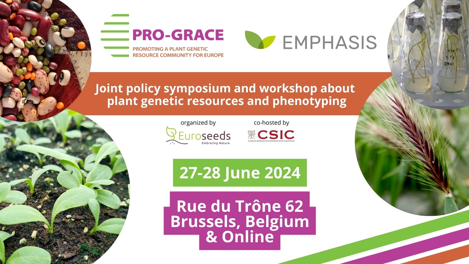 PRO-GRACE-symposium-banner